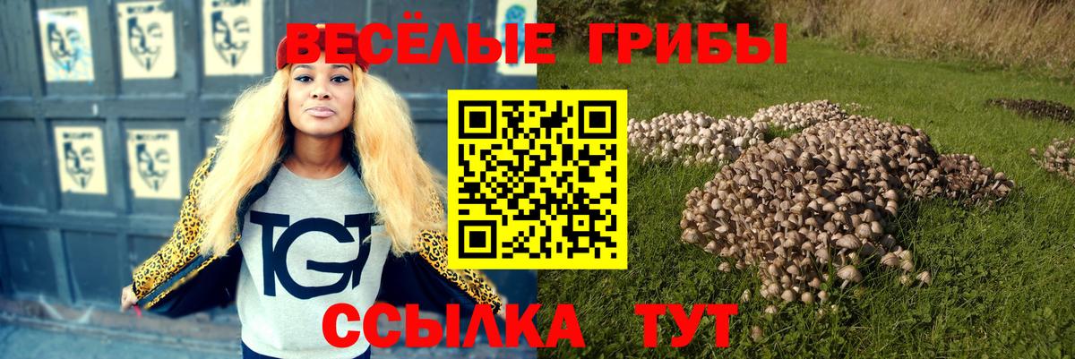 Галлюциногенные грибы Cubensis  Вход с VPN  Галлюциногенные грибы Psilocybe  Чайковский 