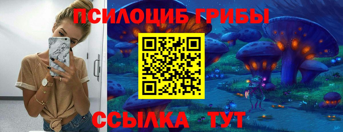 Псилоцибиновые грибы MAGIC MUSHROOMS Чайковский